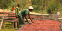 Burundi Gahahe Washed
