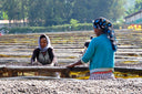 Ethiopia Shantawene Natural