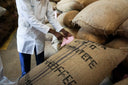 Kenya Kagumo AA Washed