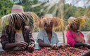 Ethiopia Ayla Shentawane Natural