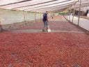 Colombia Villa Pastora Natural