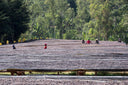 Ethiopia Shantawene Natural