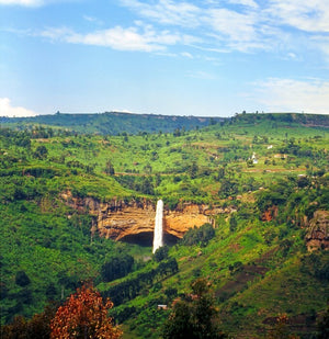 Uganda Kween Natural
