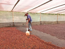 Colombia Villa Pastora Natural