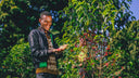 Ethiopia Asefa Dukamo Natural