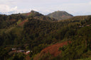 Guatemala Las Moritas Washed