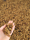 Costa Rica Las Lajas Honey