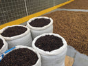 Costa Rica Las Lajas Honey