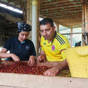 Colombia César Lopéz Lactic Fermentation