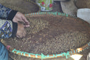 Indonesia Pink Banana Honey