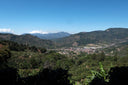 Costa Rica Las Nubes Geisha