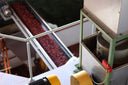 Costa Rica Las Lajas Honey