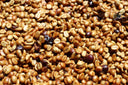 Costa Rica Las Lajas Honey